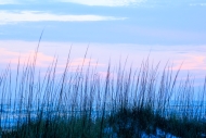 Beach;Biophilic;Calm;Coast;Coastline;Concepts;Dunes;Healing;Health-care;Healthca